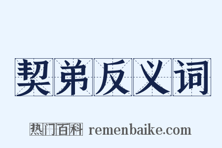 契弟反义词是什么意思的图片